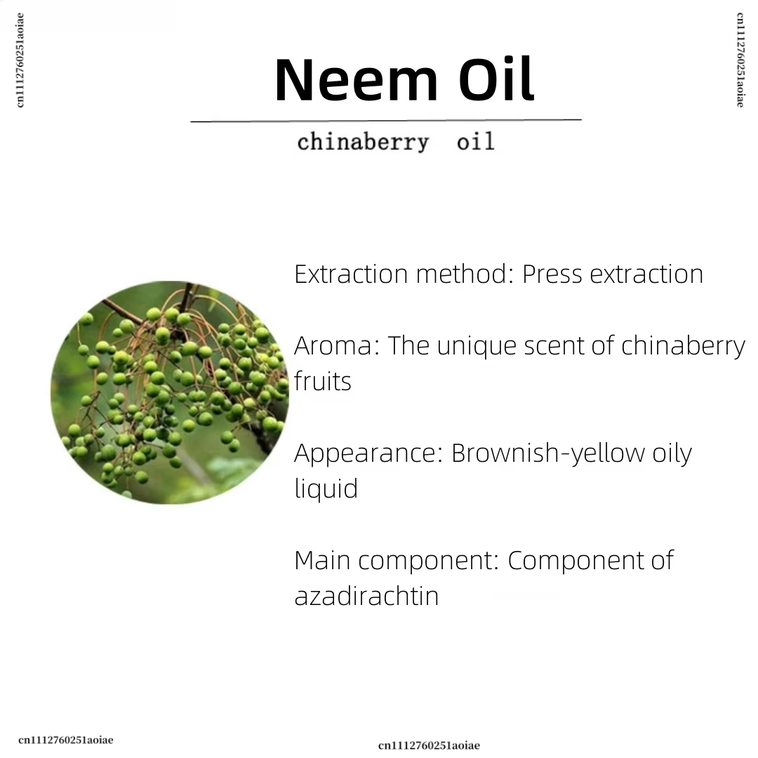 Organisches Neemöl - Spirituel – Home Fragrance Organic Bewertung und Preis
