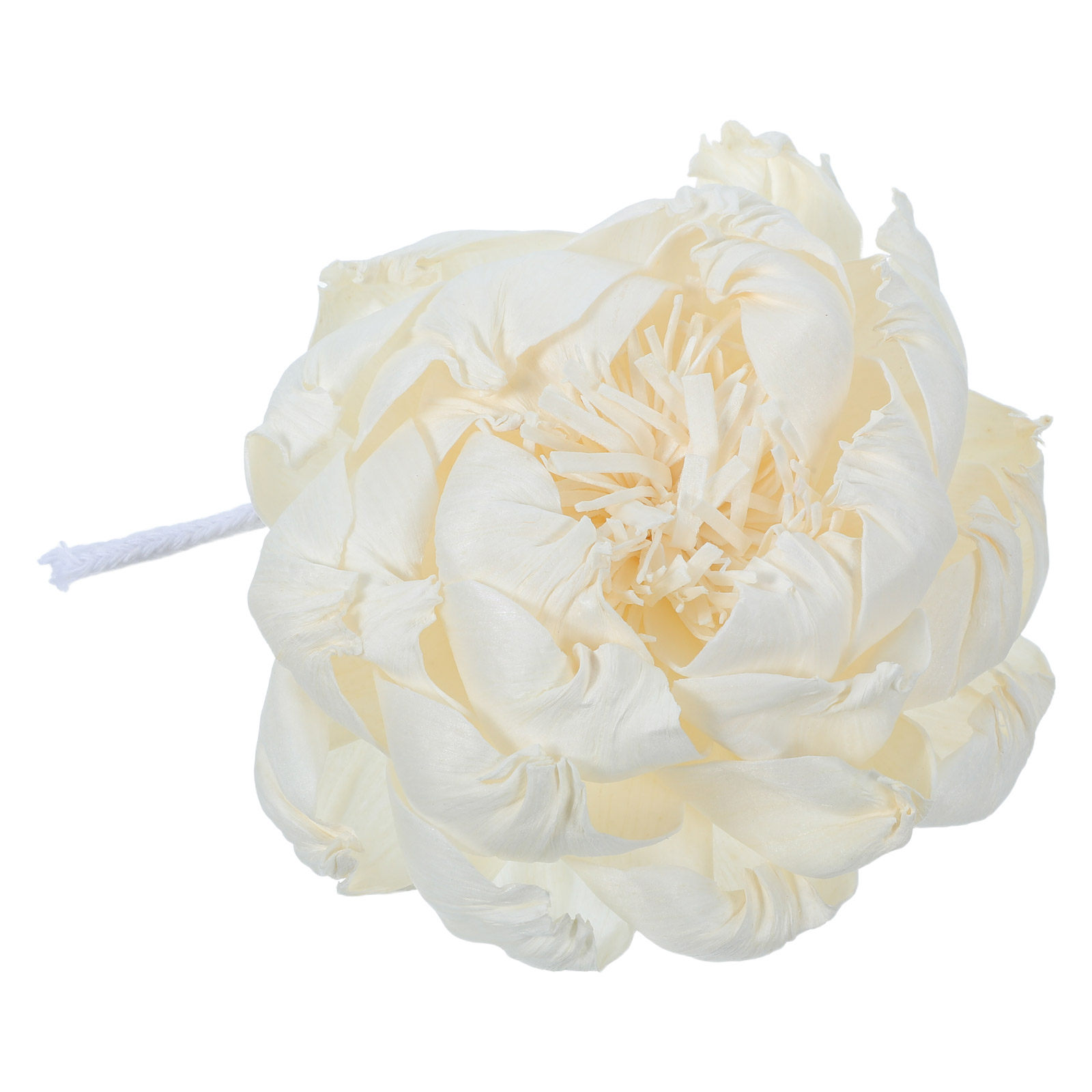 Pfingstrosenkopf-Duftdiffusor  – Home Fragrance Oils For Diffusers Bewertung und Preis