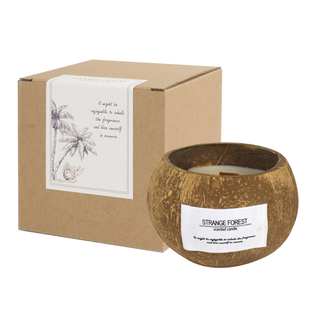Kokosnussschalen-Aromatherapie – Home Fragrance Scented Candle Bewertung und Preis