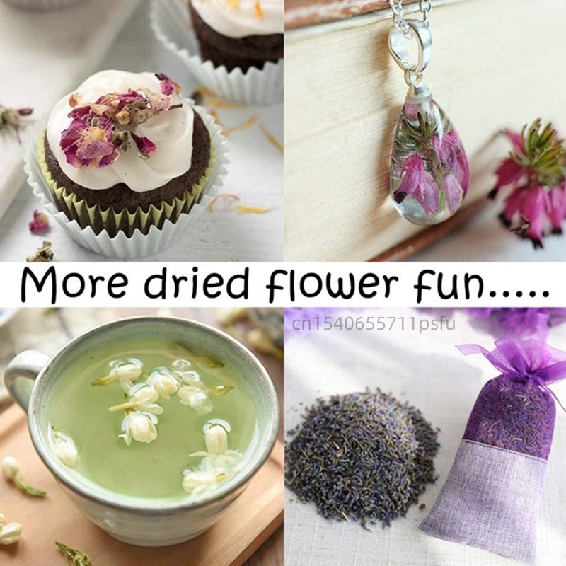 Hochwertige Natürliche Jasmin- – Potpourri Dried Flower Bewertung und Preis